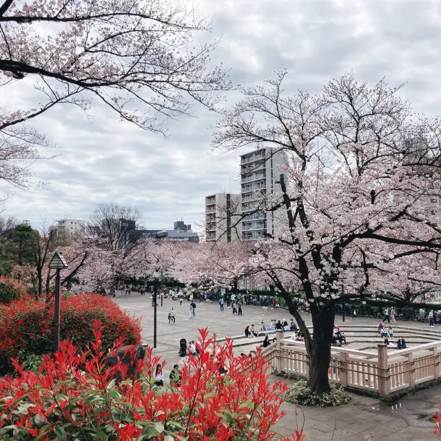 【王子】飛鳥山公園