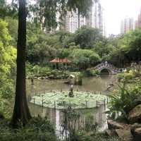 環境舒適嘅市鎮公園