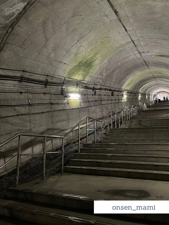 【群馬 水上】ホームまで階段486段の日本一のモグラ駅🚃