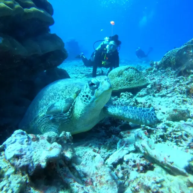 Lặn biển và ngắm hoàng hôn trên đảo Gili Trawangan, Indonesia