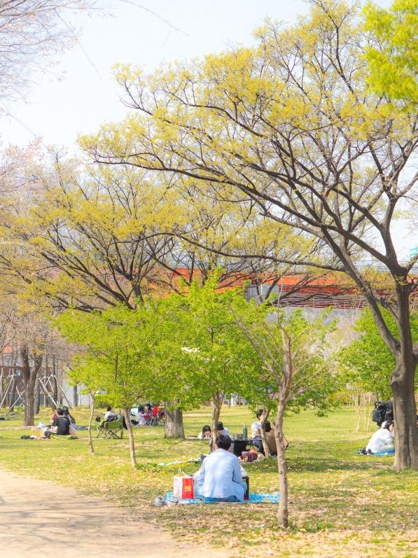 서울 피크닉 명소, 망원한강공원에서 소풍 즐겨요!