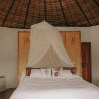 Cozy Wild เชียงใหม่