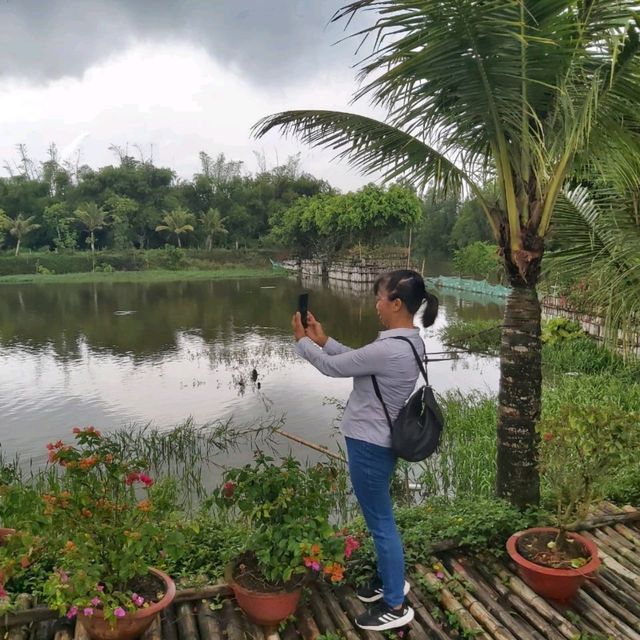 An Giang, Rừng Trà sư