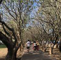 พิพิธภัณฑ์สถานแห่งชาติ น่าน