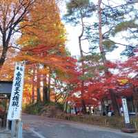 岩手県！世界遺産【平泉】中尊寺圧巻の紅葉