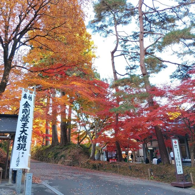 岩手県！世界遺産【平泉】中尊寺圧巻の紅葉