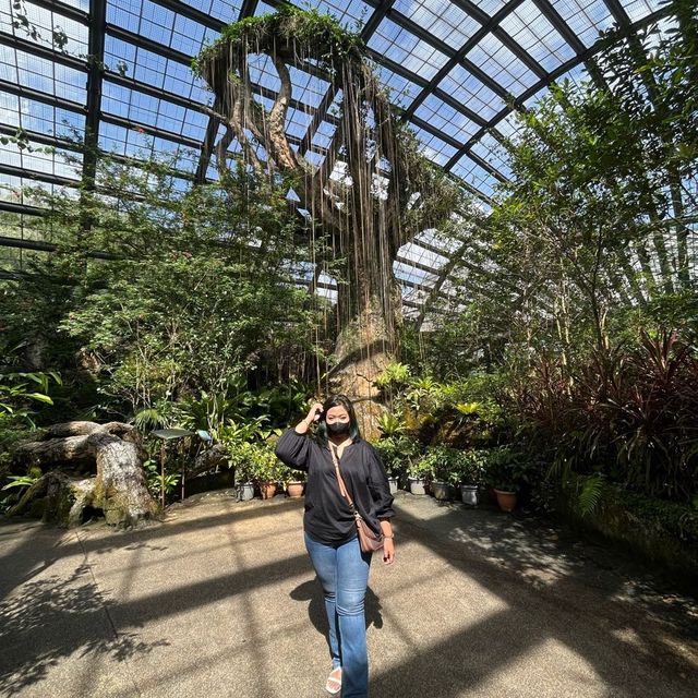 entopia penang 