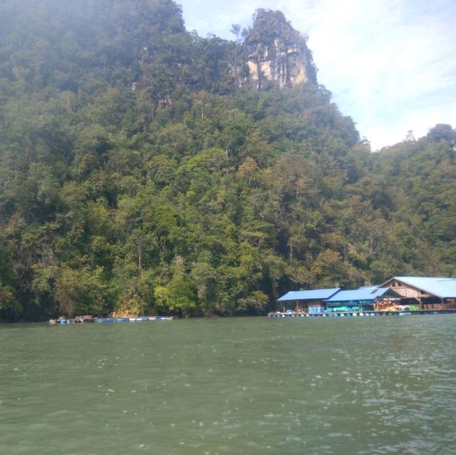 Langkawi Mangrove Kayaking Experience 