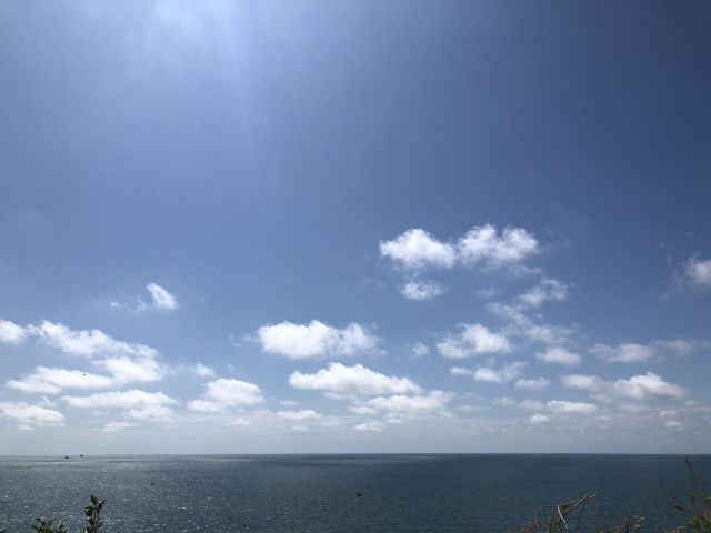 본머스 비치에서 감성있게 엽서 보내기💌