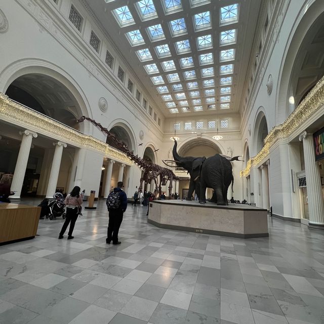 field museum มาเที่ยวชิคาโกน่ามานะ