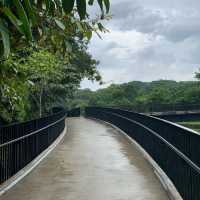 Springleaf Nature Park 