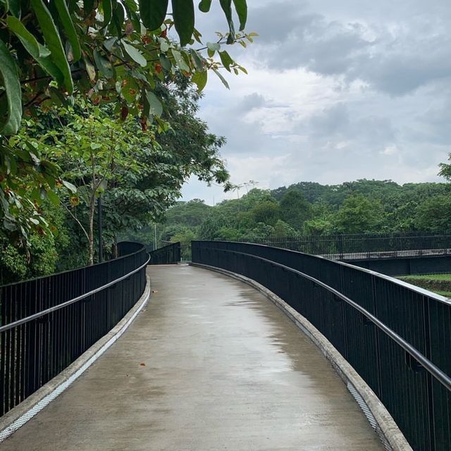 Springleaf Nature Park 