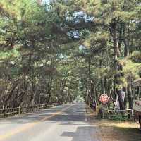 佐賀県　唐津バーガー