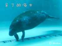 回顧沖繩遊