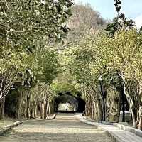 崎頂鐵道文化公園 🖌 在有二戰遺跡的子母隧道中拍剪影照