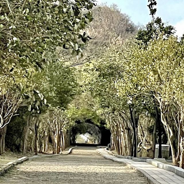 崎頂鐵道文化公園 🖌 在有二戰遺跡的子母隧道中拍剪影照
