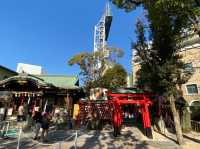 甲子園のすぐ裏にある神社⚾️⛩【素盞嗚神社】