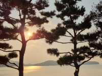 역사를 기억하려면 남해 “이순신순국공원”