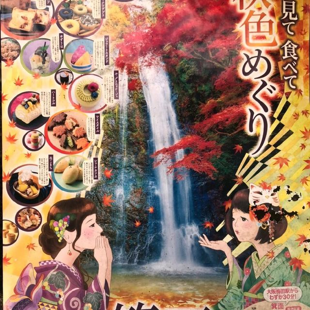 山本珈琲