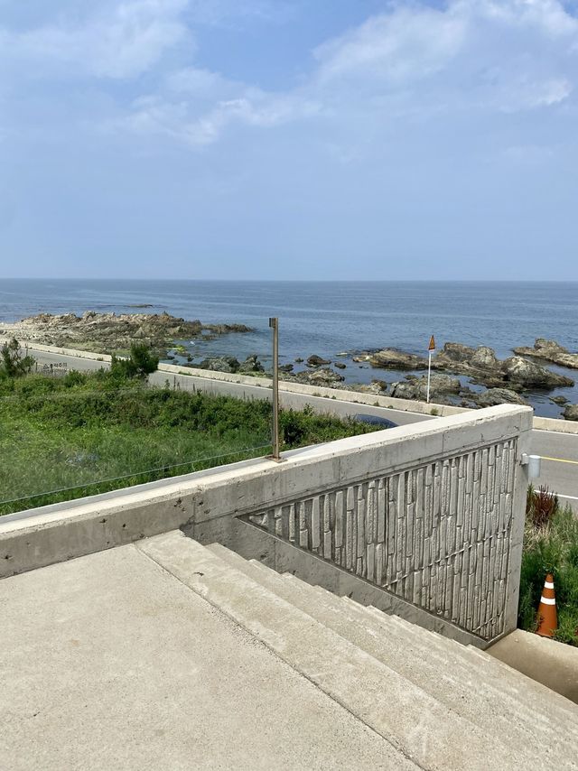평화로운 오션뷰 카페🌳🌊