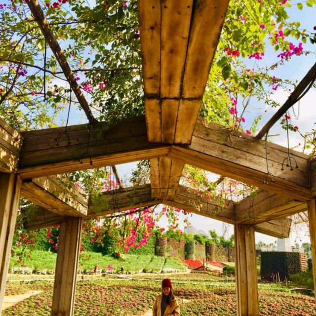 Flower Valley Tay Ho