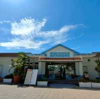 【沖縄 国頭村】エメラルドビーチ🏝️✨🏝️✨🏝️