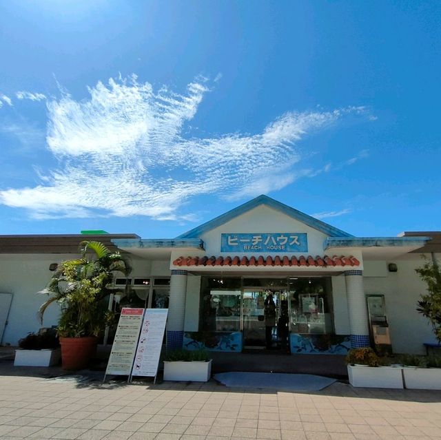 【沖縄 国頭村】エメラルドビーチ🏝️✨🏝️✨🏝️