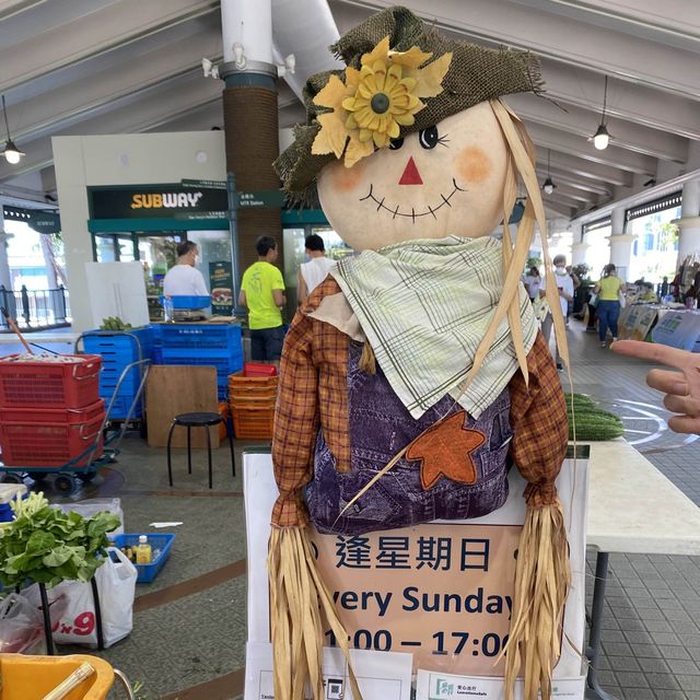 中環有機農墟🥬🫑🥒🥦