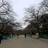 เดินเล่นชิลๆที่สวนอุเอโนะ (Ueno Park) 