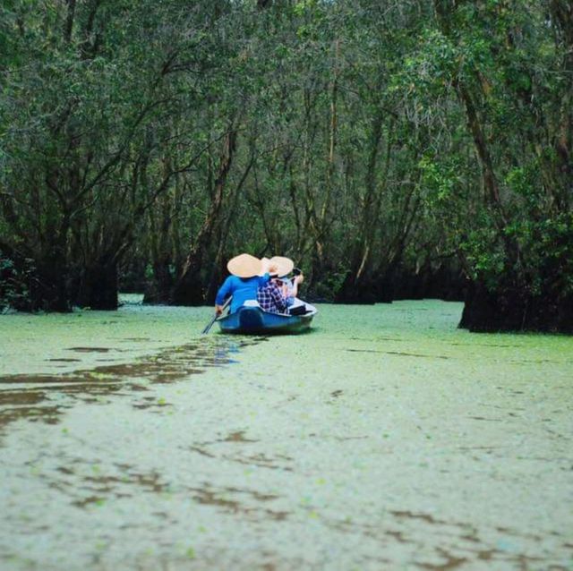 mekong delta - Rừng Tràm Trà Sư
