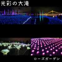 大井競馬場 東京メガイルミ【東京都/品川区】