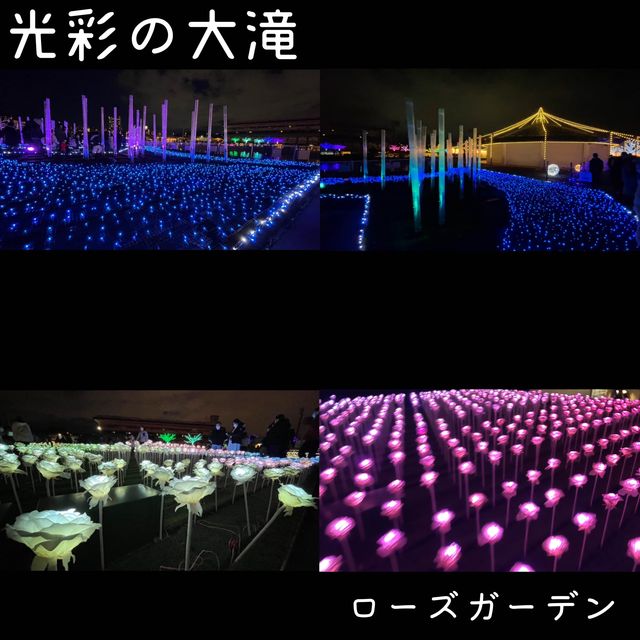 大井競馬場 東京メガイルミ【東京都/品川区】