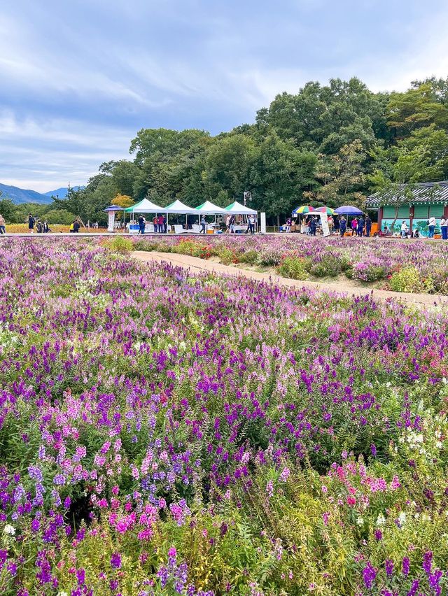 꽃잔치가 열린 상림공원💜