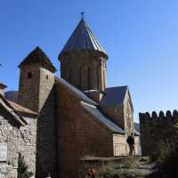 Fluffy friends of Ananuri Fortress