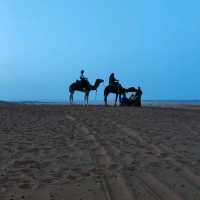 Morocco Sahara Desert Camel Ride