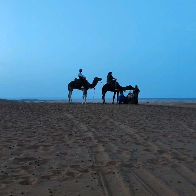 Morocco Sahara Desert Camel Ride