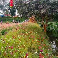 Guanlan Wetland Flower Park