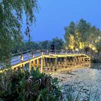 Nature stroll of Ningbo