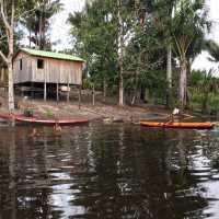 living in the world’s largest rainforest 