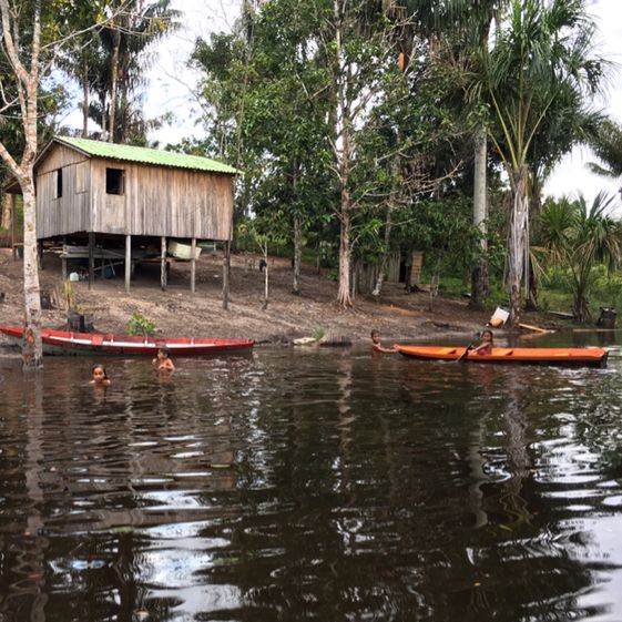 living in the world’s largest rainforest 