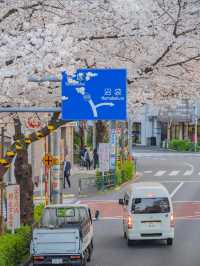Nakano Ward, Arakawa Yakushi