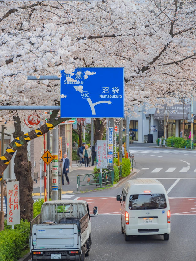 Nakano Ward, Arakawa Yakushi
