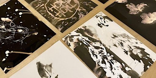 Introduction to Alternative Photography | The Art House