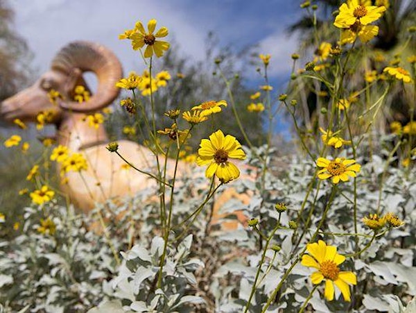 Ed Hastey Garden Walk | Santa Rosa & San Jacinto Mountains National Monument Visitor Center