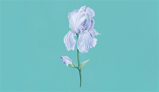 'Little Magic' - Artist & Exhibition Talk with Rebecca Feneley | Danum Gallery, Library and Museum