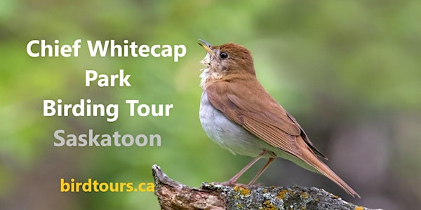Chief Whitecap Park Birding and Hiking Tour | Chief Whitecap Park