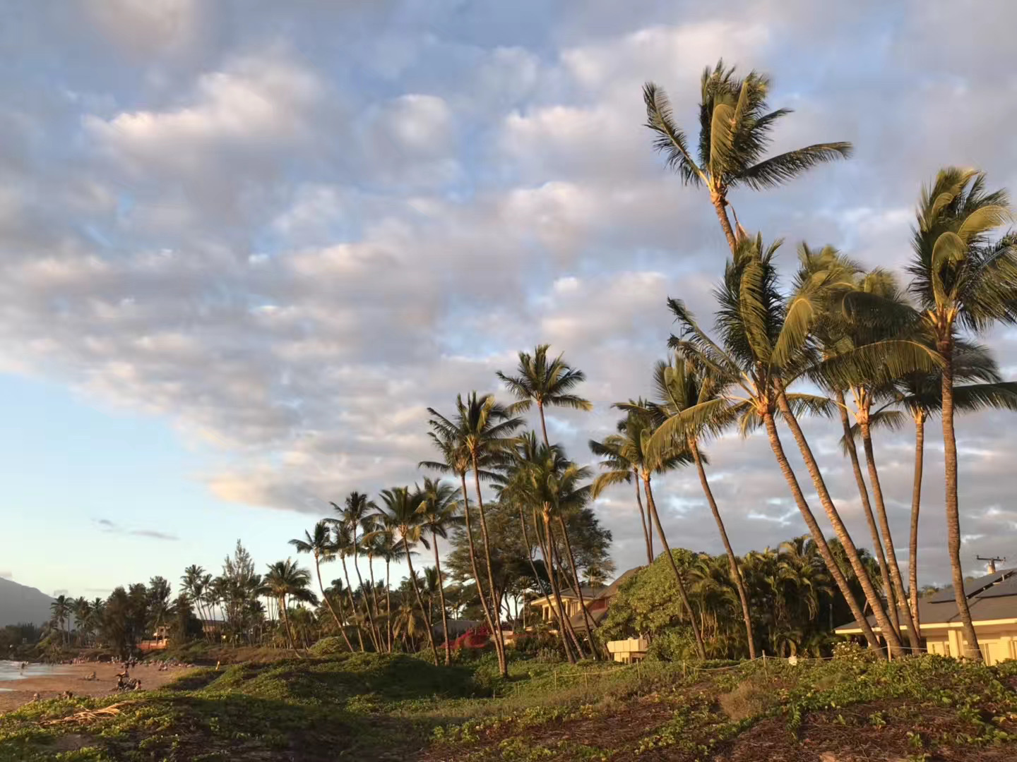 フライデーナイト 花火大会 ヒルトン ハワイアン ヴィレッジ ワイキキ ビーチ リゾート | 2005 Kalia Rd, オアフ島, HI