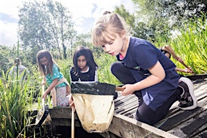 Home Educator Visit Day: Living Things and their habitats | Science Oxford Centre