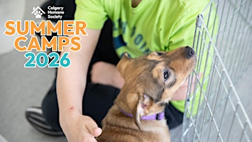CHS Summer Camp: Everything Animal (Grade 4-6) - July 6th - 10th | Calgary Humane Society