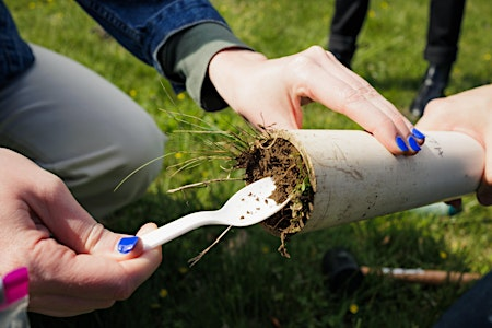 Explore Green-Wood’s Fungal Biodiversity: Mushroom Hotspot | The Green-House at Green-Wood
